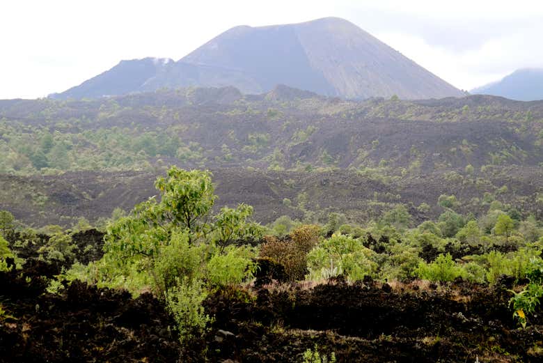 Volcán más joven del mundo