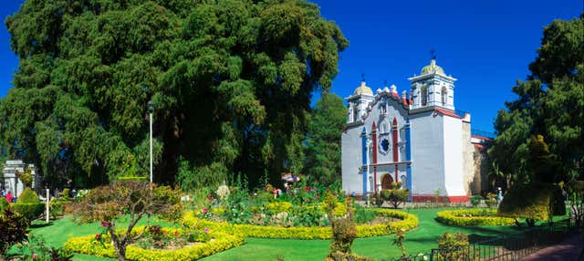 Excursión a Tule y Teotitlán del Valle + Fábrica de mezcal