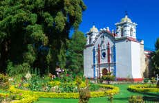 Excursión a Tule y Teotitlán del Valle + Fábrica de mezcal