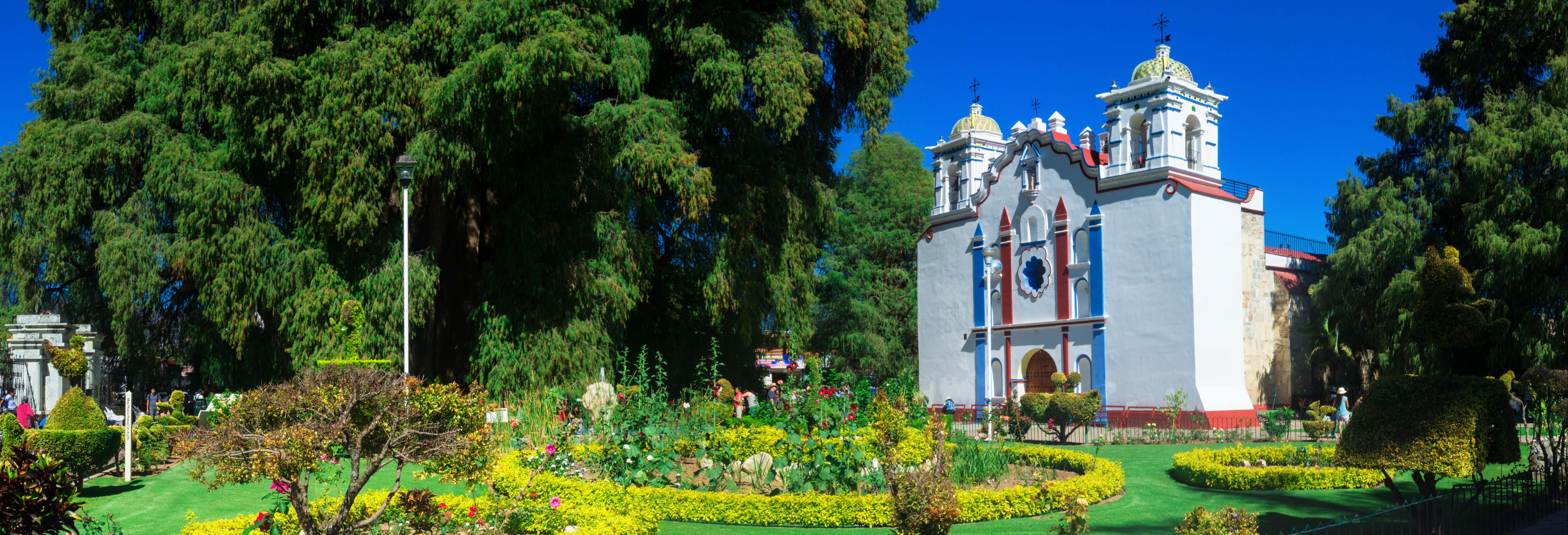 Escursioni di un giorno a Oaxaca