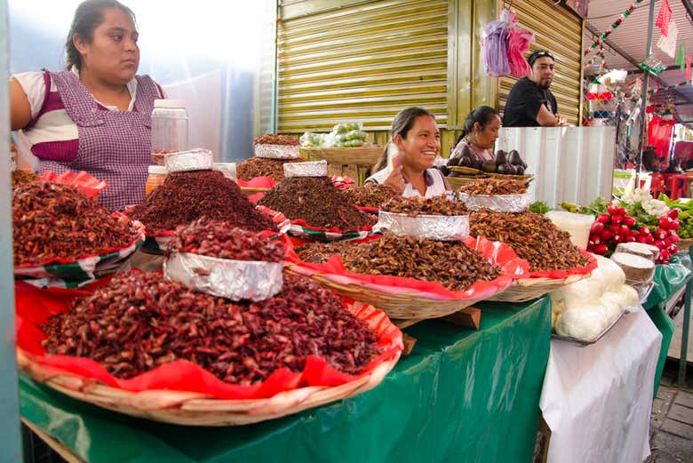 Chapulines