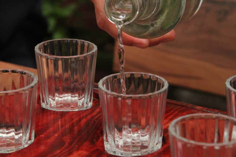 Cataremos diferentes tipos de mezcal