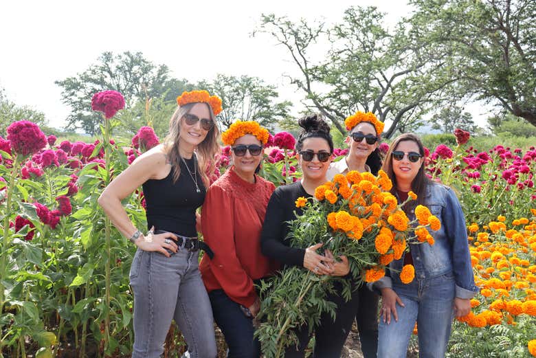 Una foto con las flores cempasúchil
