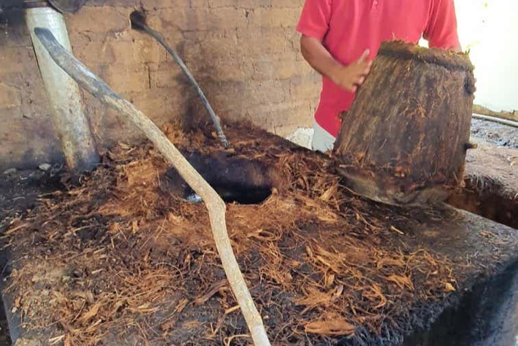 Descubriremos los secretos del mezcal