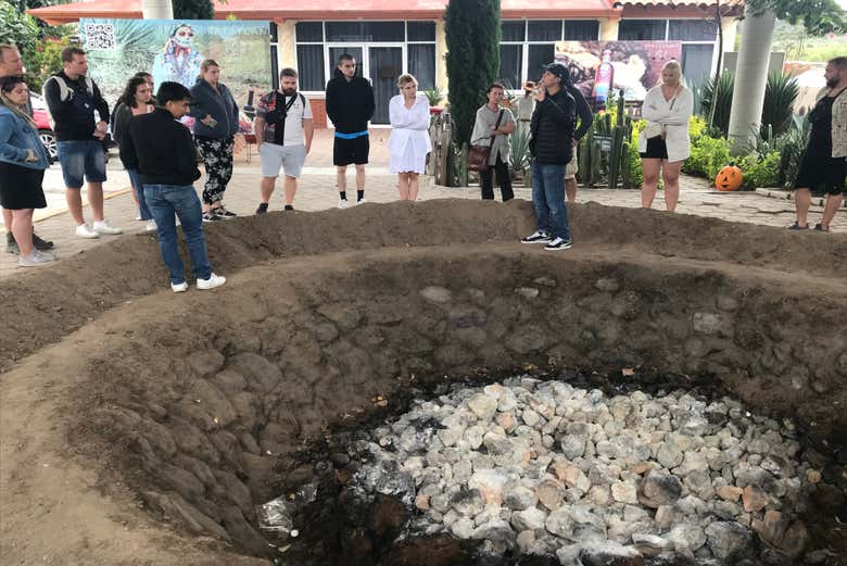 Cozinhando o abacaxi de Maguey