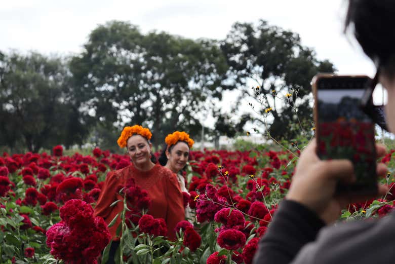 ¡Momento foto rodeadas de flores!