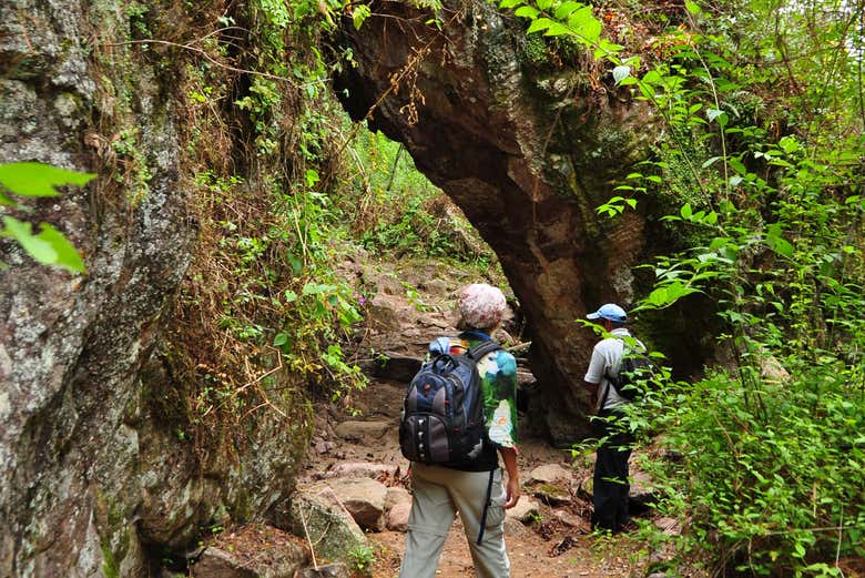 Rodeados de abundante vegetación