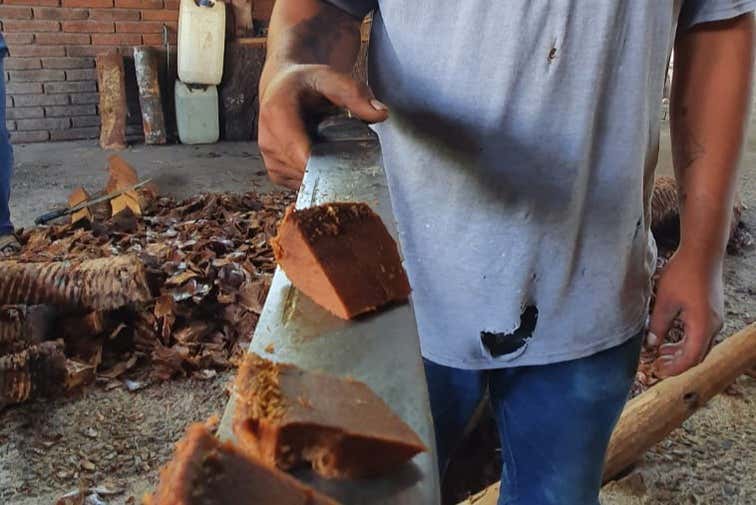 Proceso de producción del mezcal