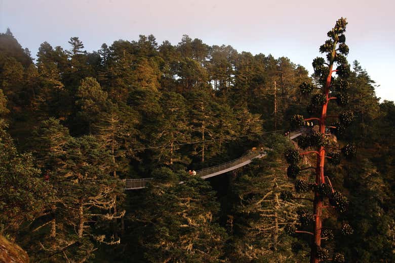 Paisajes de la Sierra Norte