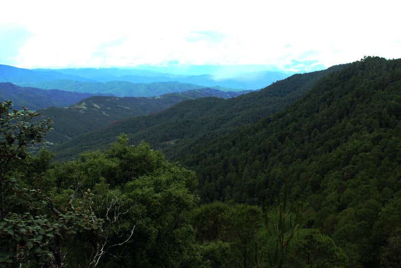 Montañas de la Sierra Norte