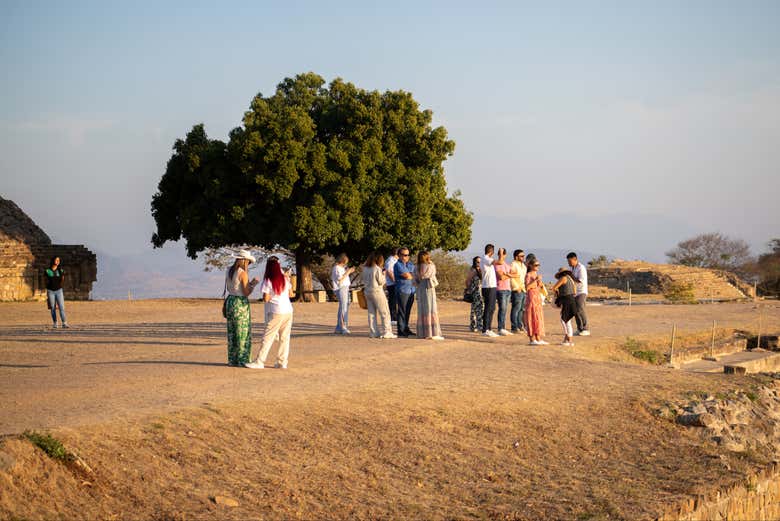 Vous visiterez Monte Albán en dehors des horaires habituels