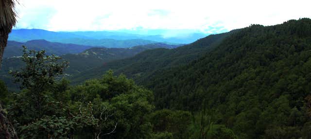 Randonnée dans la Sierra Norte de Oaxaca