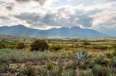 Tour de 2 dias pelo vale de Oaxaca