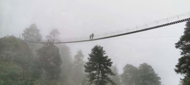 Tour de aventura en el cañón del Coyote