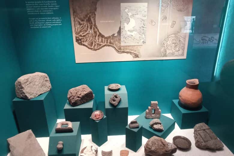 Exhibición en el Museo de Sitio
