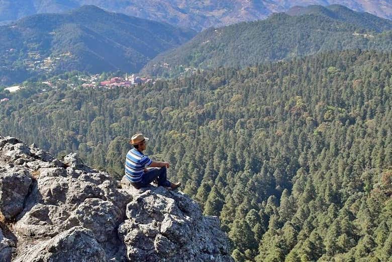 Entraremos en contacto con el bosque