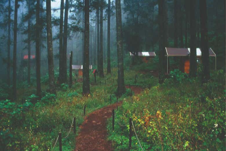 Senderismo por el Parque Nacional El Chico