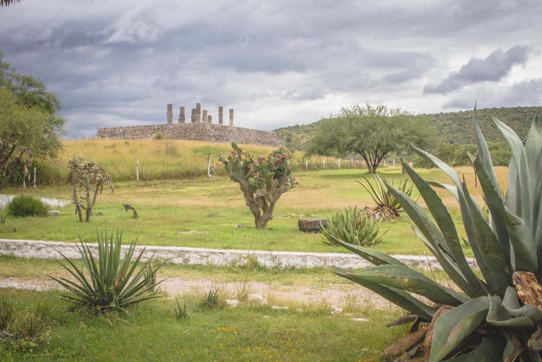Vista de la Zona Arqueológica de Tula
