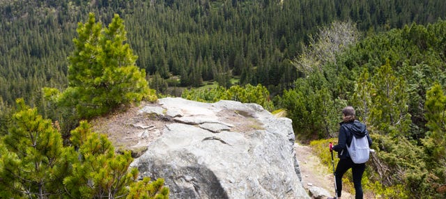 Senderismo y meditación en el Parque Nacional El Chico