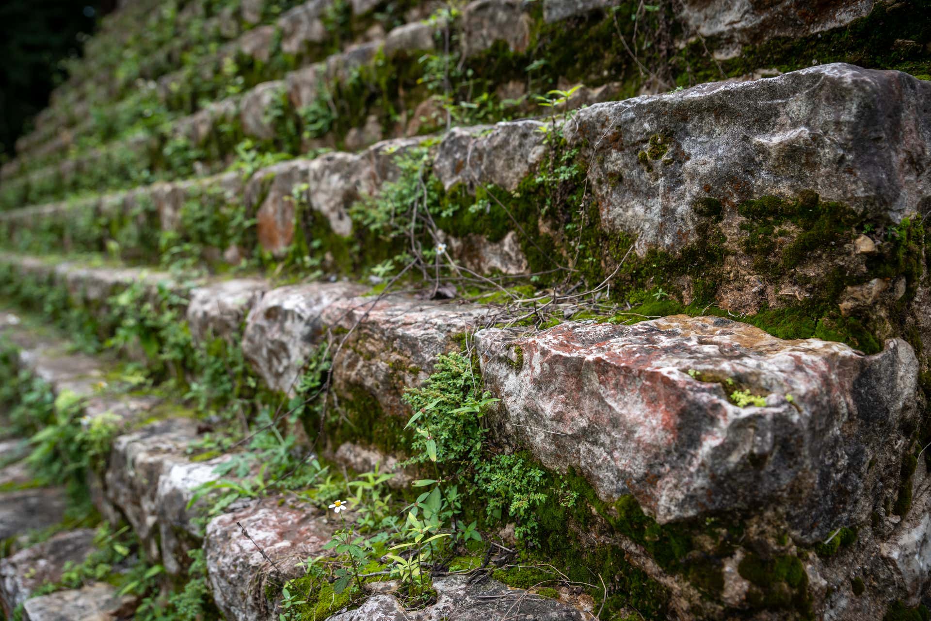 Escursione di 2 giorni a Yaxchilán e Bonampak + Rafting