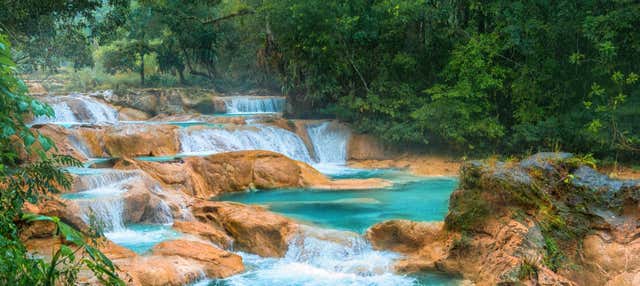 Excursión a Agua Azul y Misol-Há