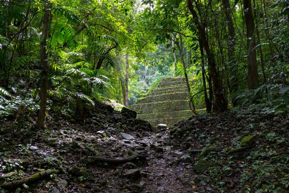 Excursión a la Selva Lacandona y Bonampak