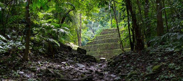 Escursione alla Selva Lacandona e Bonampak