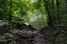 Escursione alla Selva Lacandona e Bonampak