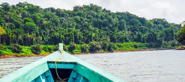 Excursión por la Selva Lacandona