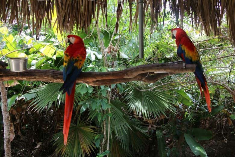 À la découverte de l'Ecoparc Aluxes