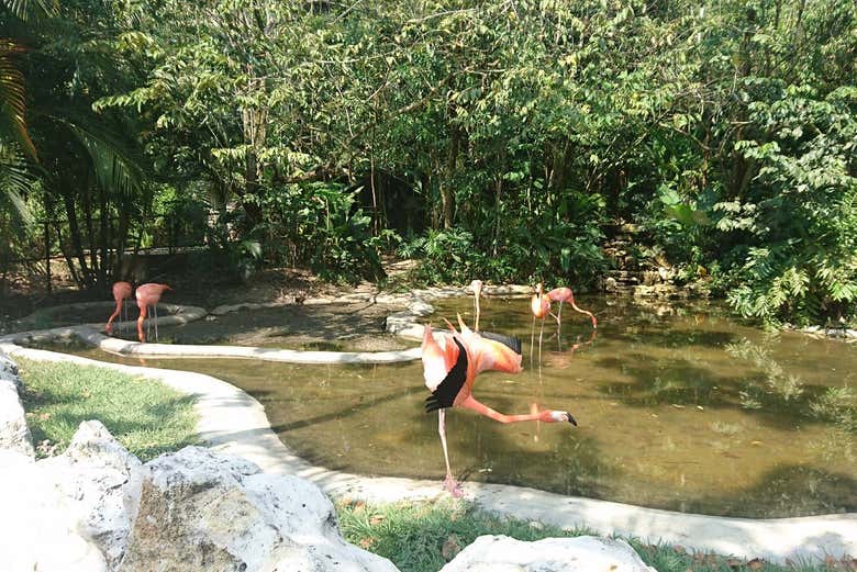 Disfrutando de las diferentes áreas del parque