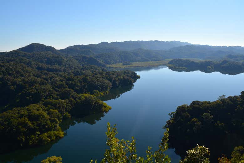 Una de las lagunas de la selva