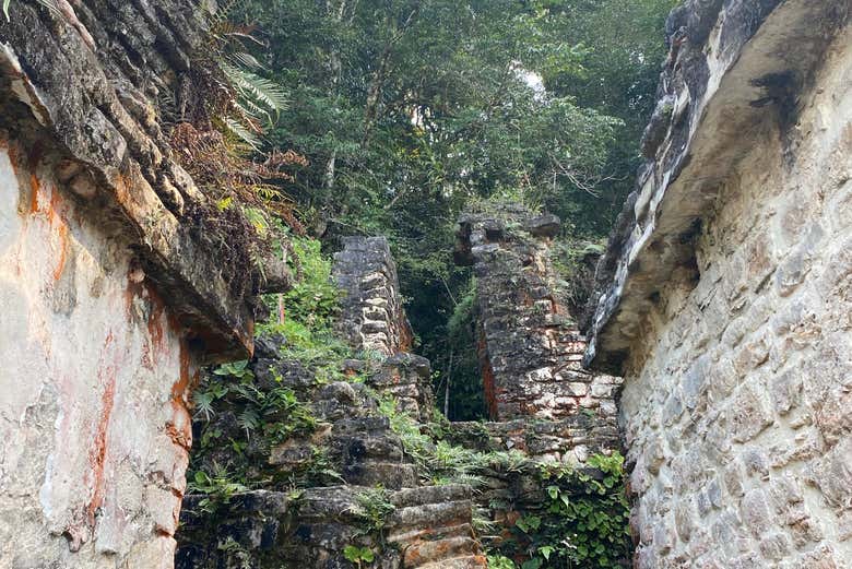 Explorando Bonampak