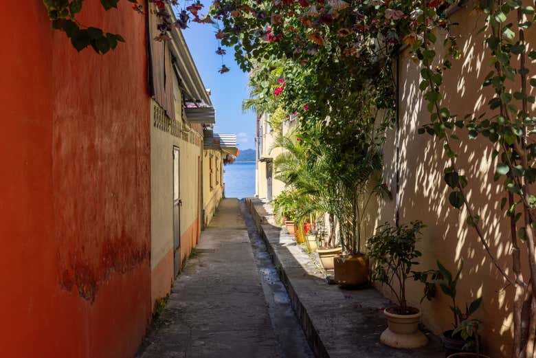 Una callecita en Flores