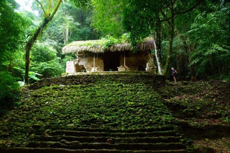 Learn about the ancient Maya civilization