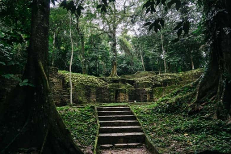 Did you know a lot of Palenque is still covered by jungle?