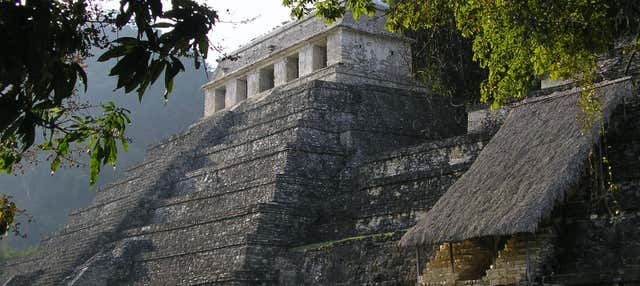 Tour privado por la zona arqueológica de Palenque