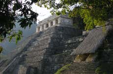 Tour privado por la zona arqueológica de Palenque