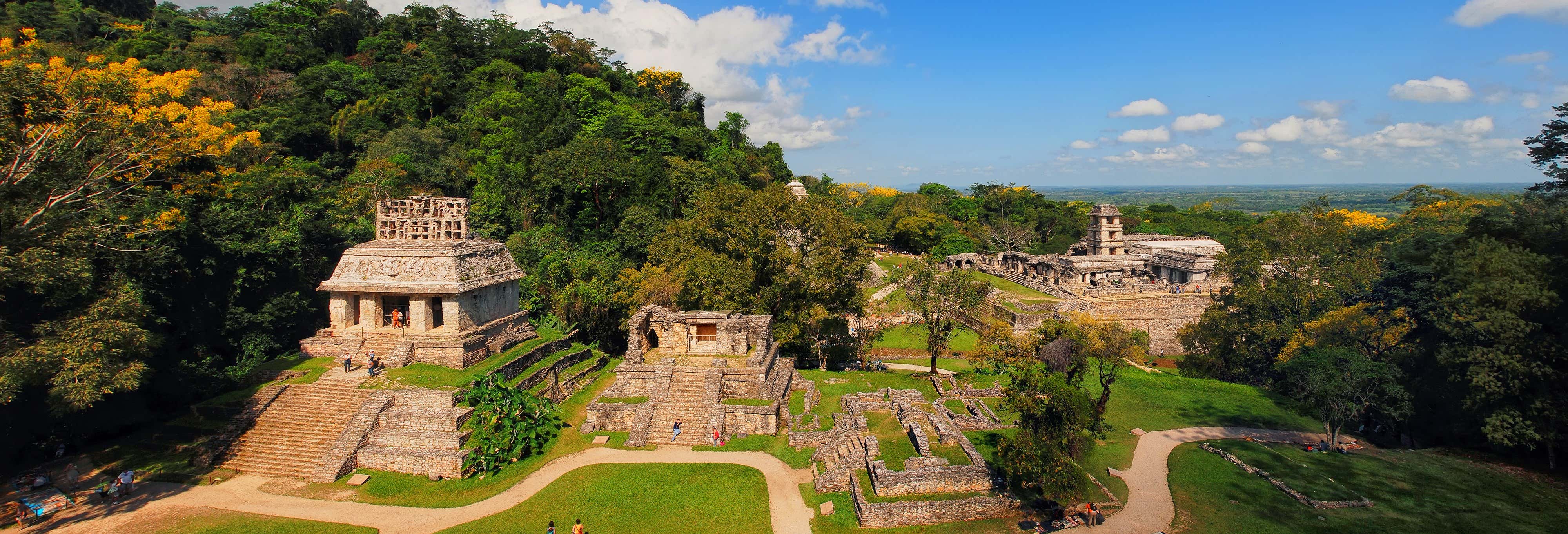 Day trips in Palenque