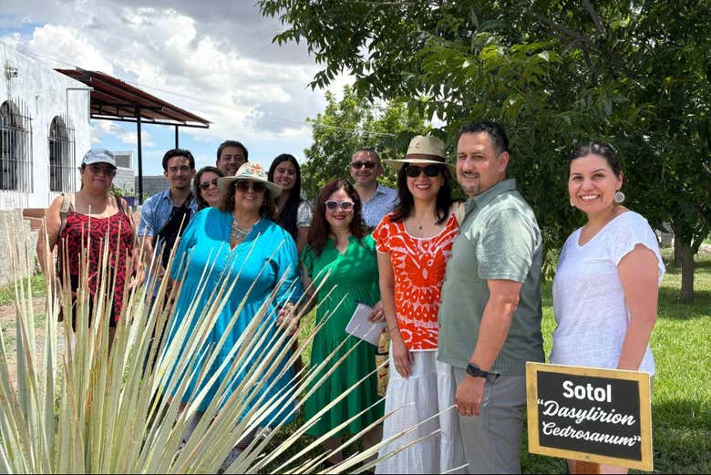 Alla scoperta del mondo del sotol
