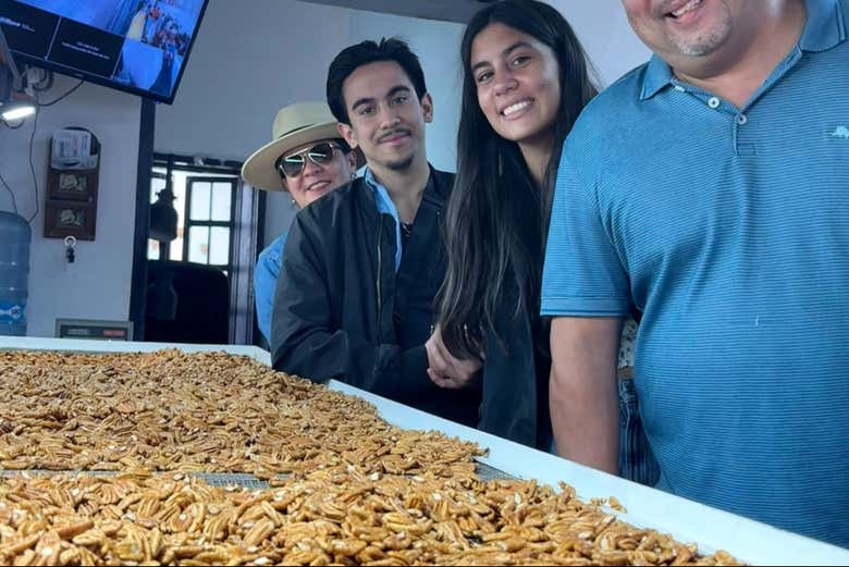 Il laboratorio di noci