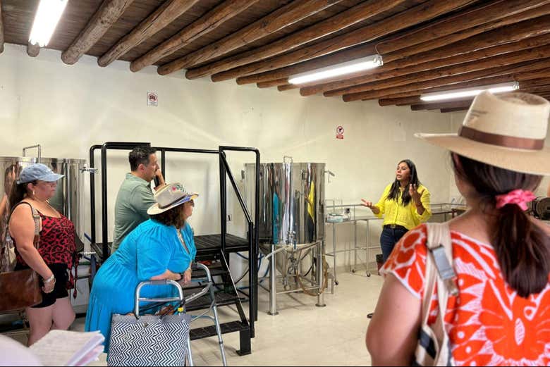 Il processo di distillazione del sotol