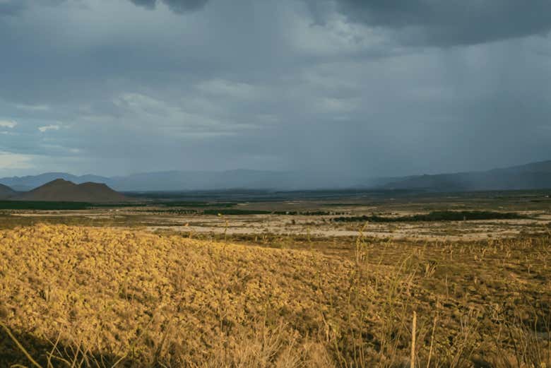 Les paysages de Parras, dans l'État de Coahuila