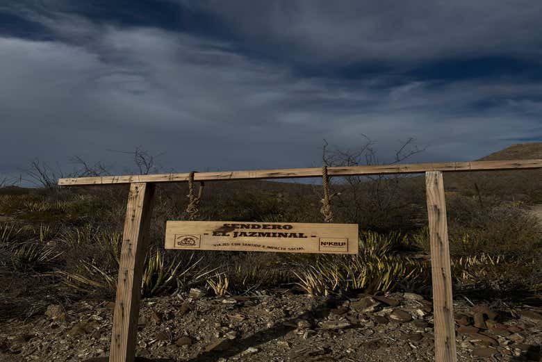 Check out the Cerro Colorado wine region today!