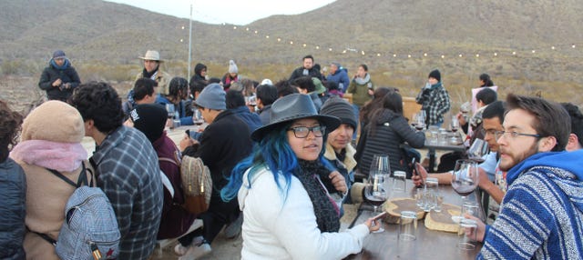 Tour del vino por el Cerro Colorado