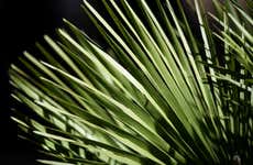 Tour del vino, la nuez y el sotol