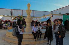 Visita guiada por Parras de la Fuente