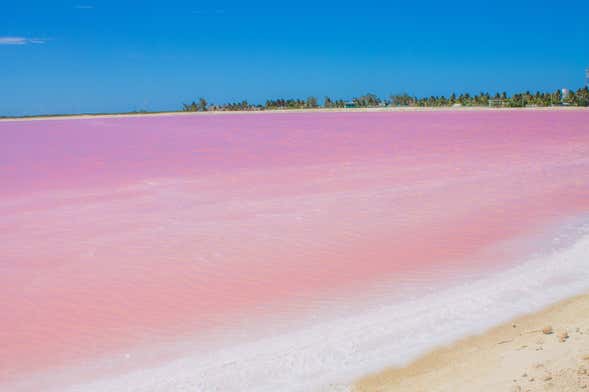 Escursione a Las Coloradas e al fiume Lagartos