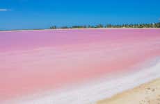 Excursión a Las Coloradas y río Lagartos