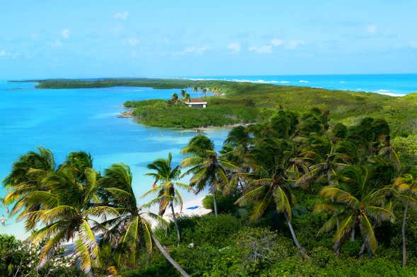 Excursión a Isla Contoy e Isla Mujeres